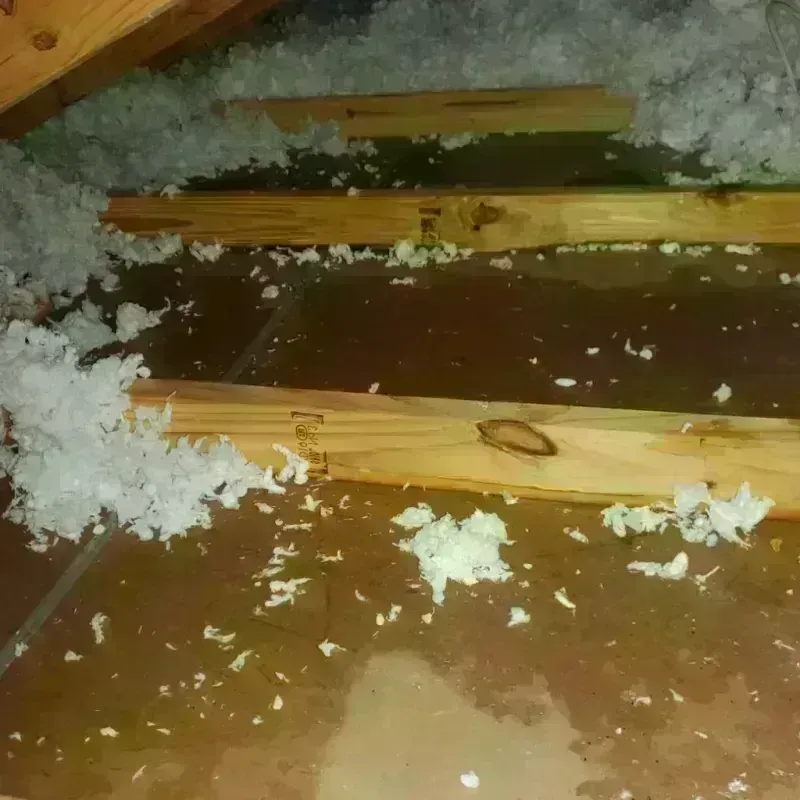 Attic Water Damage in Egypt, PA