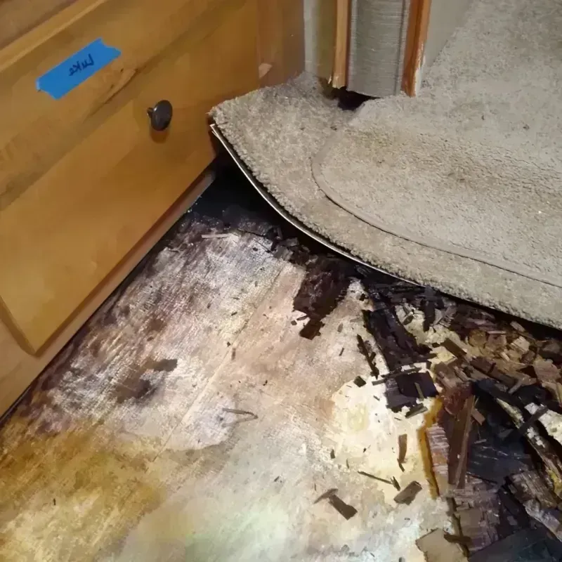 Wood Floor Water Damage in Egypt, PA